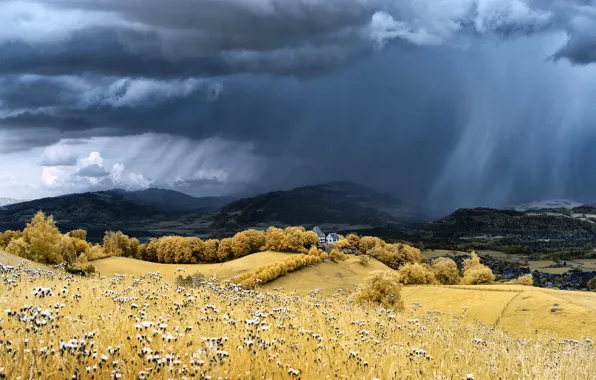 Field, autumn, forest, mountains, clouds, rain, houses, the shower
