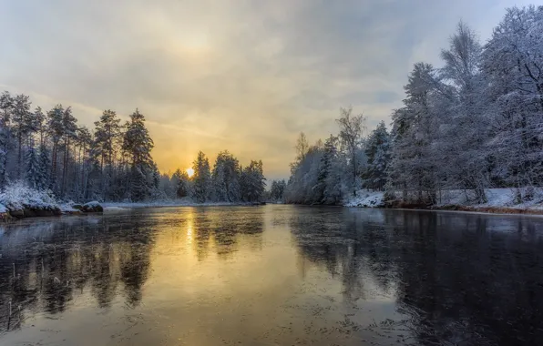 Winter, frost, forest, the sky, the sun, light, snow, lake