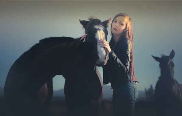 Girl, background, horses