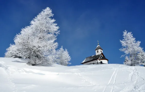 Picture winter, snow, temple