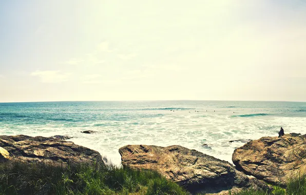 Sea, wave, grass, water, stones, landscapes, horizon, landscape