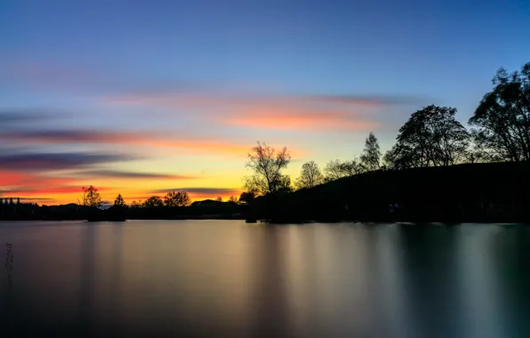 Picture the sky, trees, sunset, river, shore, silhouettes