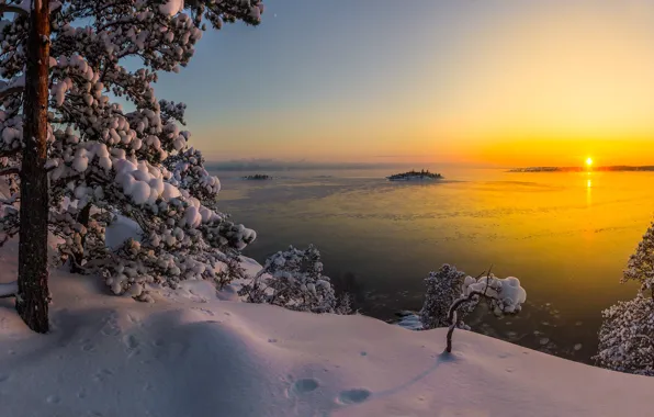 Winter, snow, trees, landscape, nature, lake, pine, Karelia