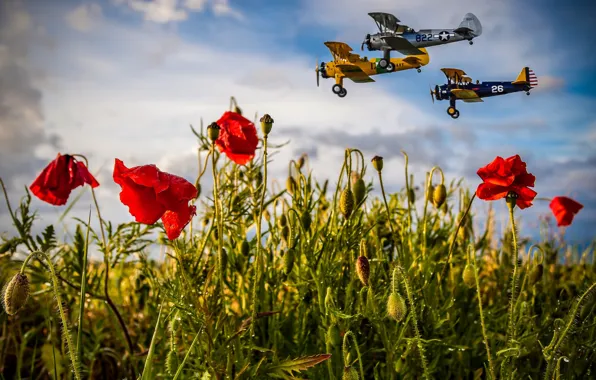 Field, summer, the sky, clouds, flight, aviation, flowers, Mac