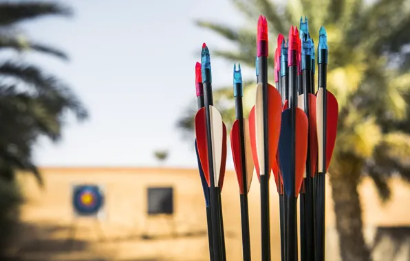 Macro, blur, arrows, quiver, arrows, shank, bokeh wallpaper., colorful plumage