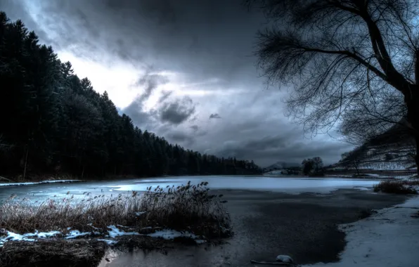 Picture night, nature, lake