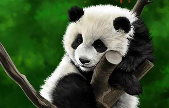Wallpaper trees, figure, Panda