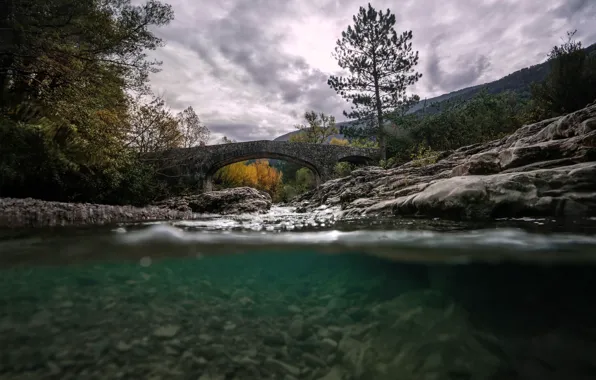 Bridge, nature, river