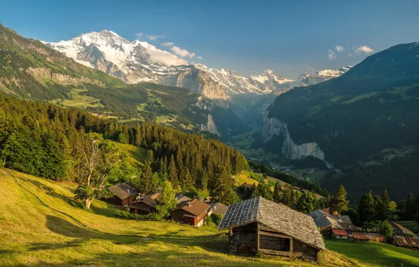 Picture forest, the sky, the sun, trees, mountains, rocks, Switzerland, valley