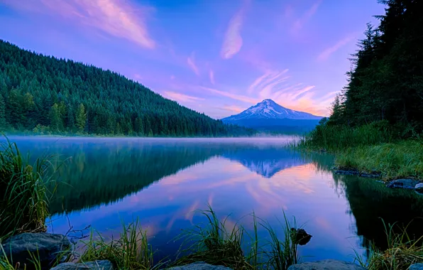 Forest, clouds, landscape, mountains, blue, lake, reflection, blue
