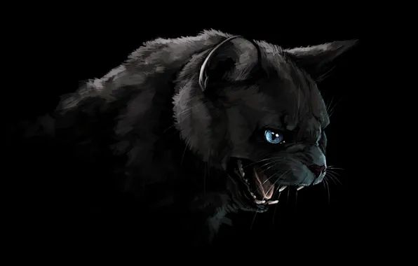 Cat, cat, look, face, figure, portrait, Panther, art