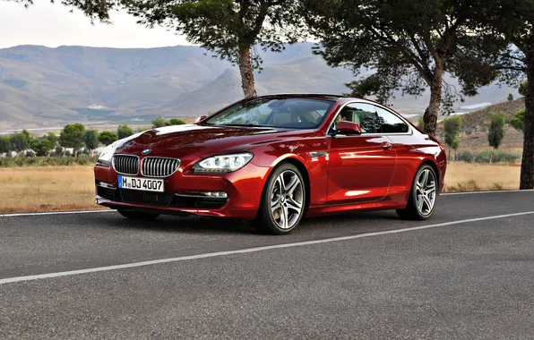 Road, car, machine, trees, road, trees, bmw 6 series coupe