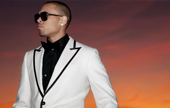 Dancer, Singer, Chris Brown, Chris Brown