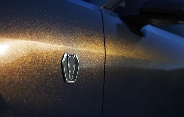 Mustang, Ford, logo, badge, 2024, Dark Horse, Ford Mustang Dark Horse