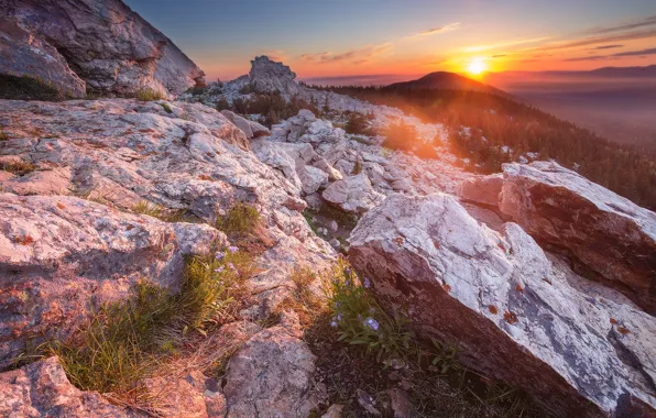Forest, the sky, the sun, rays, sunset, mountains, stones, rocks