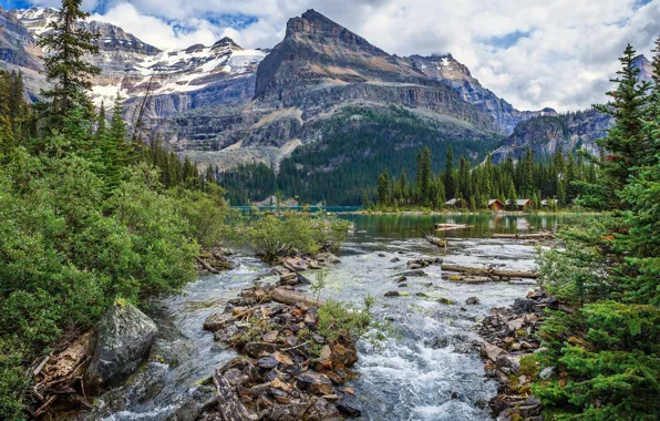 Greens, forest, the sky, clouds, trees, mountains, lake, stones