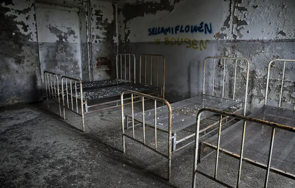 Picture room, bed, interior