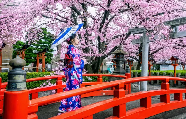 Picture bridge, cherry, Japanese, spring, umbrella, Japan, Sakura, Japan