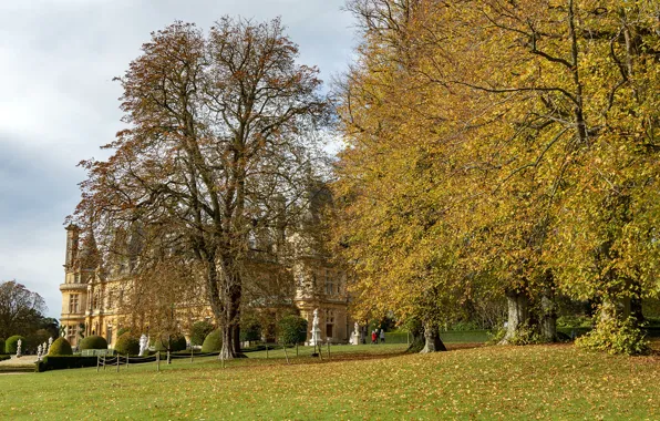 Picture photo, England, Nature, Autumn, Trees, Leaves, Park, Waddesdon Manor