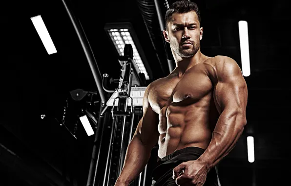 Pose, figure, muscle, muscle, muscles, press, athlete, simulators