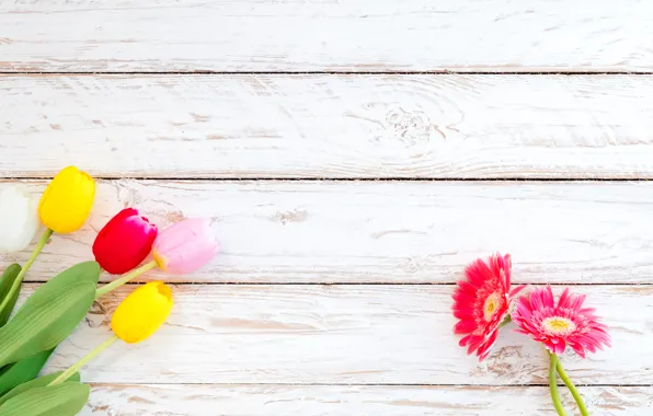 Flowers, spring, colorful, tulips, gerbera, wood, flowers, tulips