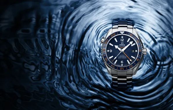 Picture Watch, Seamaster, 2013, OMEGA