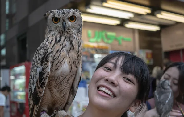 Picture girl, smile, owl, East