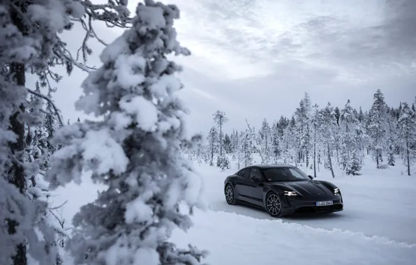 Picture snow, trees, black, Porsche, ate, 2020, Taycan, Taycan 4S