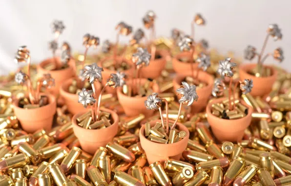 Bullets, flowers, pots, expansive, dum-dum