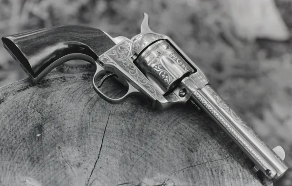 Weapons, trunk, revolver, the handle