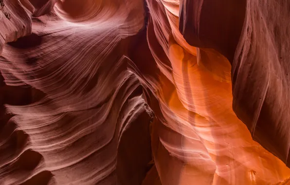 Picture line, nature, canyon, AZ, USA, America, wall, antelope canyon