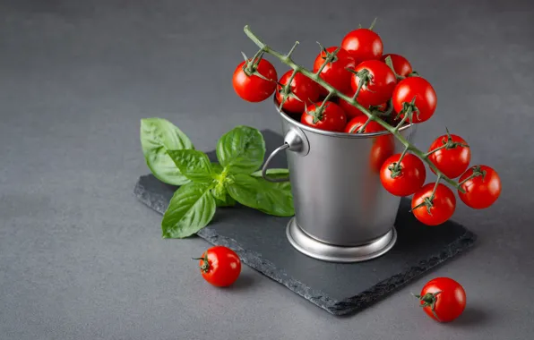 Red, grey background, tomatoes, mint, on the branch, tomatoes, bucket, cherry