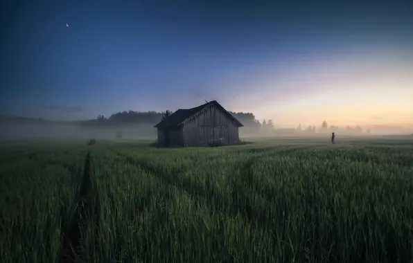Field, fog, people, morning, the barn
