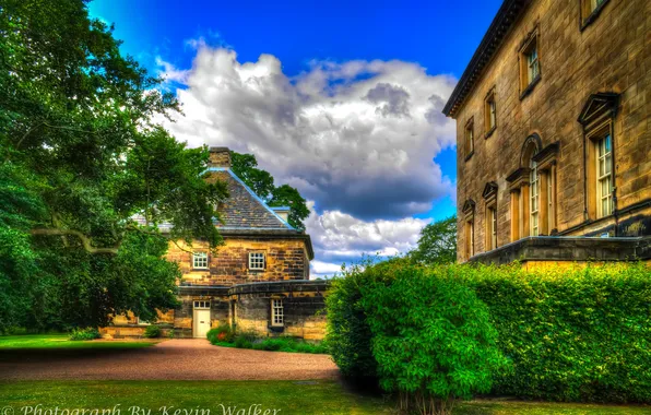 Clouds, trees, England, home, treatment, yard, the bushes, Nostell