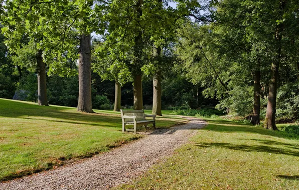 Road, Park, bench
