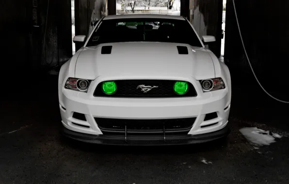 Mustang, Ford, GT500, Mustang, Ford, 5.0, white. before