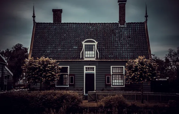 Picture The city, The fence, Trees, House, Street, Netherlands, Zaanse Schans, Gloomy