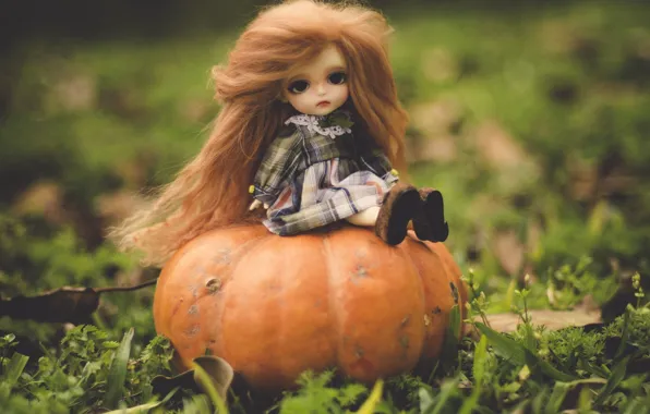 Nature, toy, doll, pumpkin, red, sitting, long hair