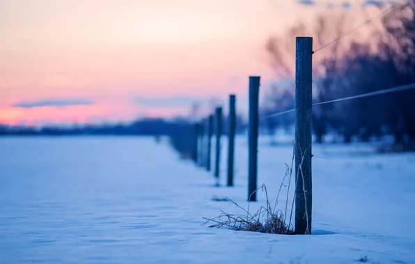 Snow, nature, background, blue, widescreen, Wallpaper, the fence, fence