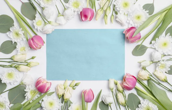 Flowers, Tulips, Postcard, Eustoma