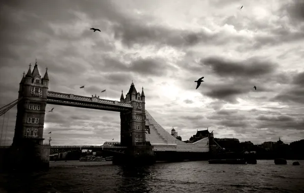 The sky, clouds, birds, bridge, the city, river, black and white, London