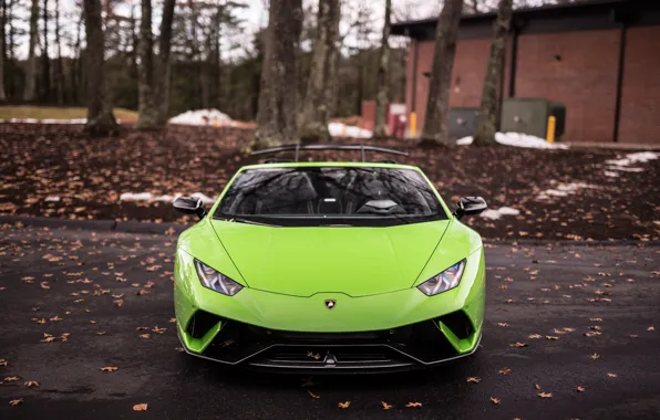 Lamborghini, Green, Front, VAG, Performante, Huracan