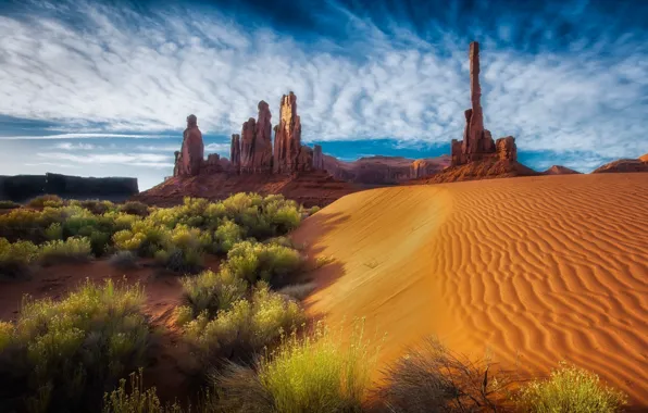 Sand, the sky, clouds, nature, rocks, desert, USA, shrubs