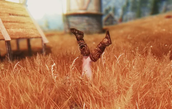 Field, girl, feet, the game, girl, game, legs, field