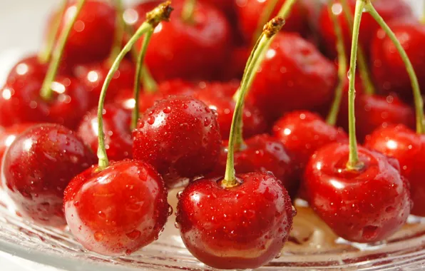 Macro, background, cherry