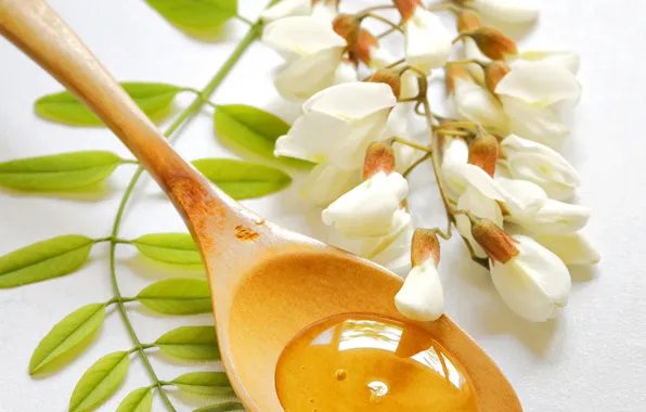 Picture flowers, branch, honey, spoon, sweets, white, white, honey