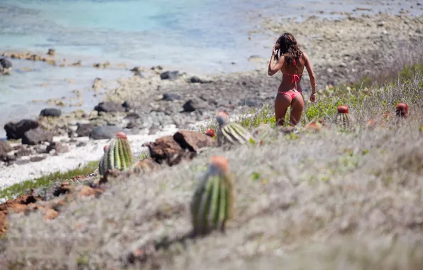 Picture ass, girl, sexy, brunette, Miss Reef