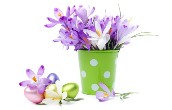 Picture eggs, bouquet, crocuses, bucket, flowers, spring, eggs, easter