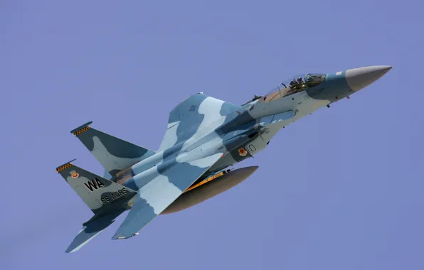 Fighter, USAF, F-15C Eagle, Aggressor Squadron