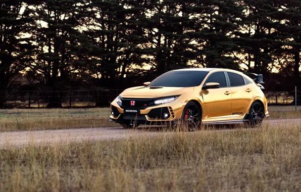 Honda, Civic, Type R, 2019, 50 Years in Australia